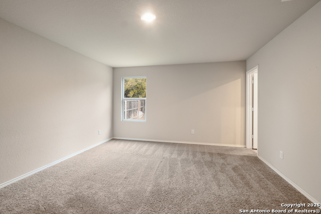 Image 10 of 18 For 10115 Braun Cloud