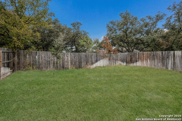 Image 16 of 18 For 10115 Braun Cloud