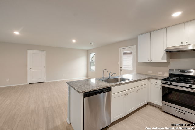 Image 9 of 18 For 10115 Braun Cloud