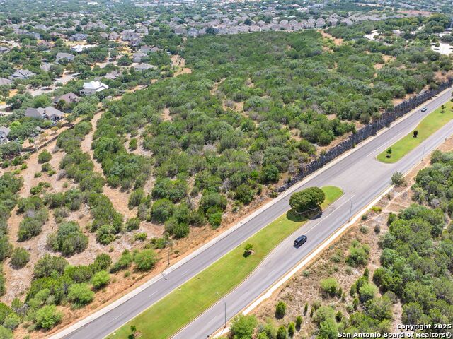 Listing photo id 3 for 11.87 Ac Stone Oak