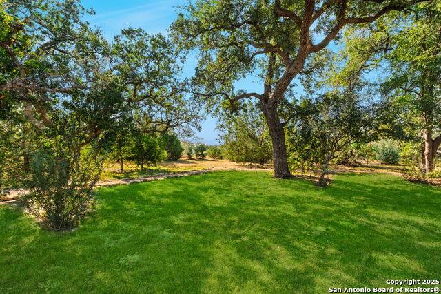 Listing photo id 0 for 219 Madrone Trail