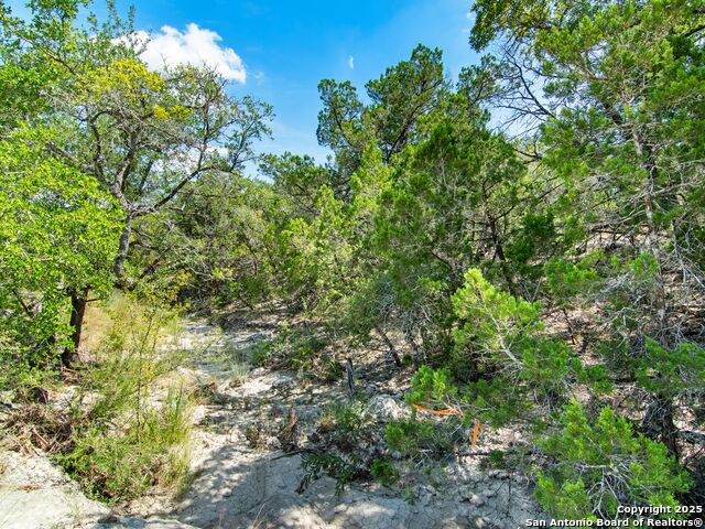 Listing photo id 11 for 25722 Eden Point