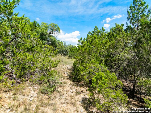 Listing photo id 14 for 25722 Eden Point