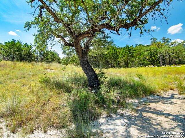 Listing photo id 21 for 25722 Eden Point
