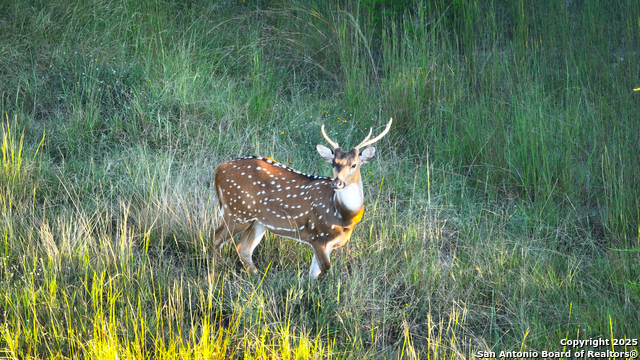 Image 14 of 14 For Far Hills Ranch Tract 4