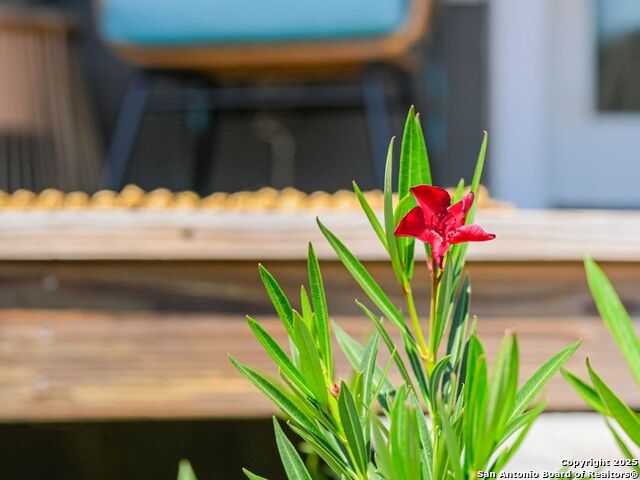 Image 42 of 63 For 6766 Spring Branch Road