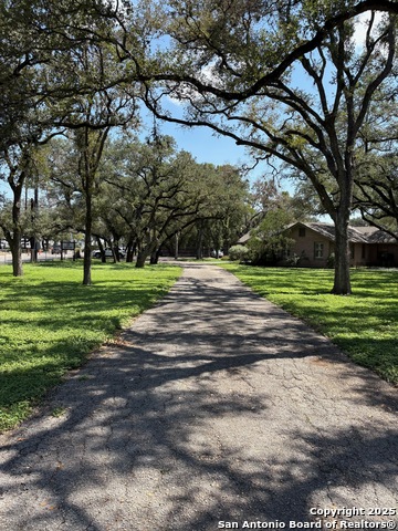 Listing photo id 8 for 3004 Nacogdoches