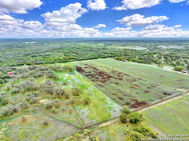 Listing photo id 42 for 8354 Fm 1796