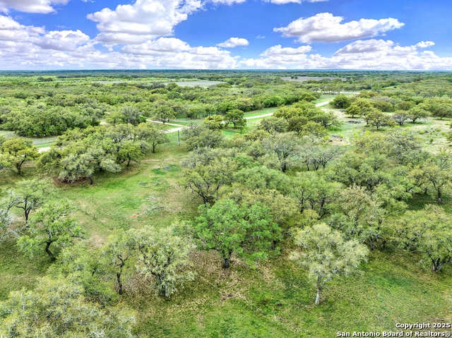 Listing photo id 5 for 8354 Fm 1796