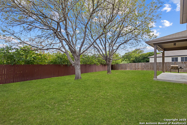 Image 22 of 24 For 116 Cirrus Cv