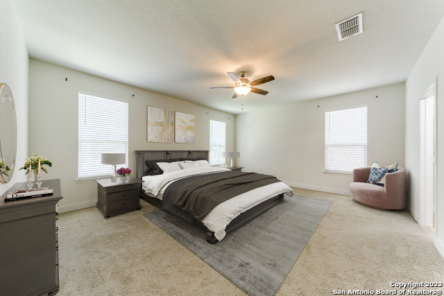 Image 16 of 28 For 108 Rattlesnake Bluff