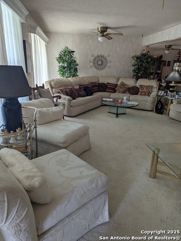 Image 2 of 14 For 359 Kate Schenck