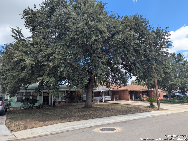 Image 4 of 14 For 359 Kate Schenck