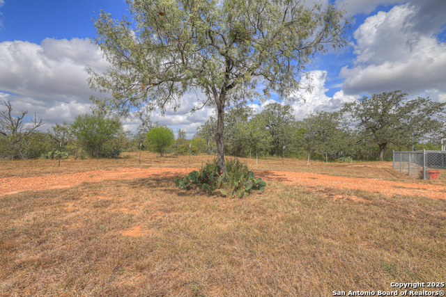 Listing photo id 18 for 2354 Fm 2438