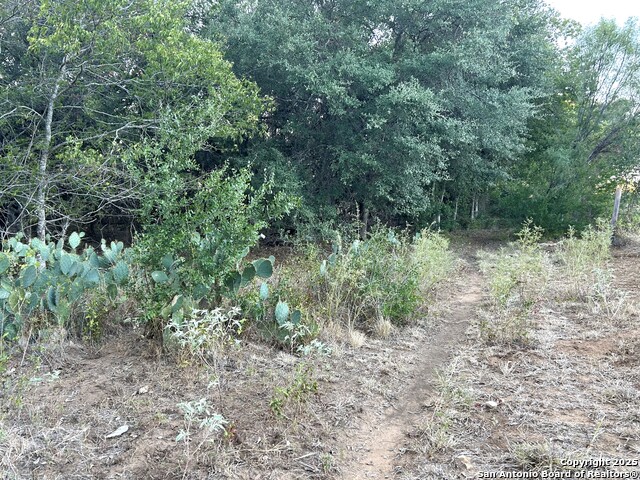 Image 7 of 9 For 1814 State Highway 123 S