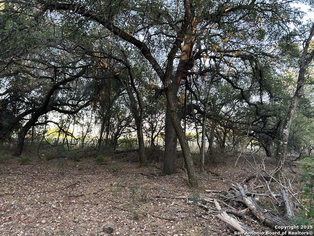 Image 8 of 9 For 1814 State Highway 123 S