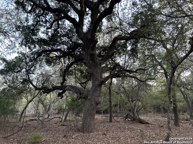 Image 9 of 9 For 1814 State Highway 123 S