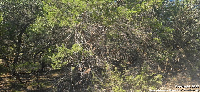 Listing photo id 0 for 716 Line Camp Rd