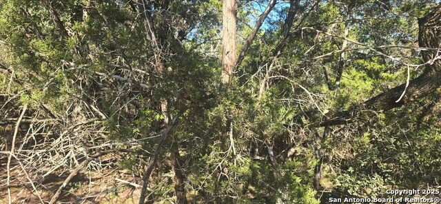 Listing photo id 1 for 716 Line Camp Rd