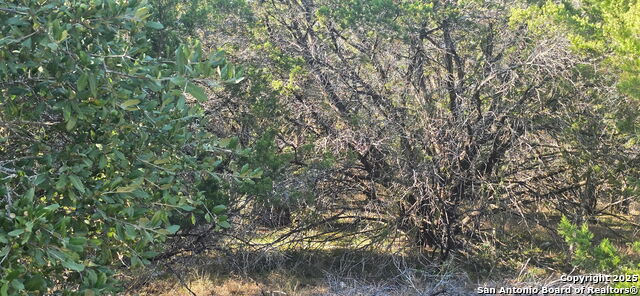 Listing photo id 2 for 716 Line Camp Rd