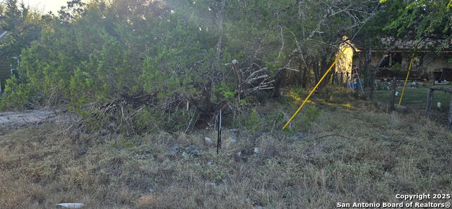 Image 4 of 4 For 203 Palm