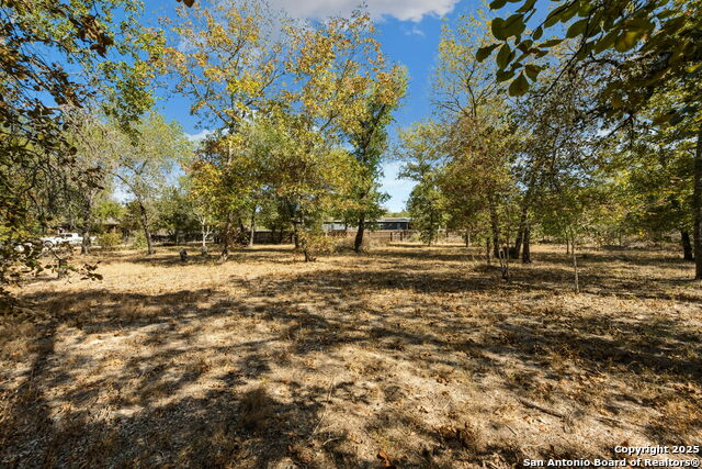 Image 20 of 21 For 1811 Hickory