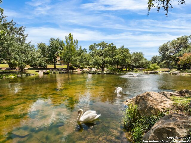 Image 23 of 29 For 7 Dominion Meadows