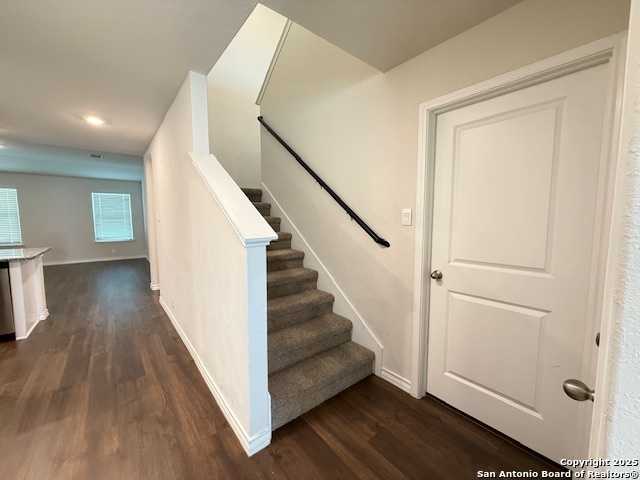 Listing photo id 30 for 222 Grey Woodpecker