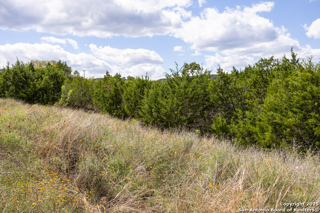 Image 10 of 19 For 11309 Sloanes Ridge