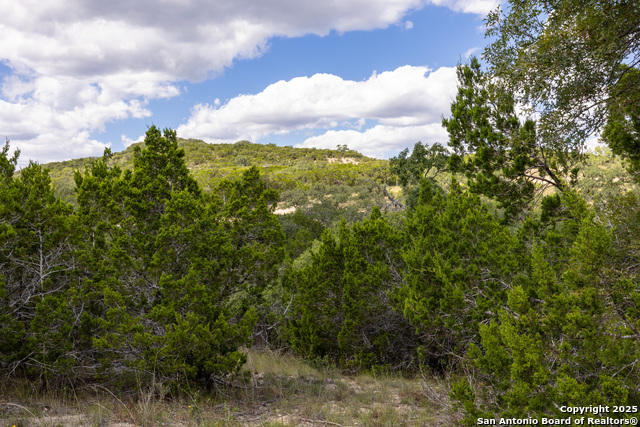 Image 15 of 19 For 11309 Sloanes Ridge