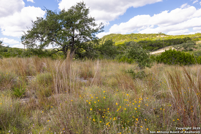 Image 5 of 19 For 11309 Sloanes Ridge