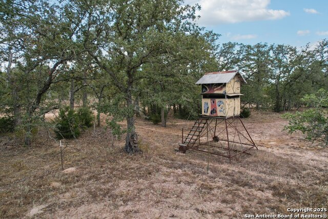 Listing photo id 43 for 3001 Curry  