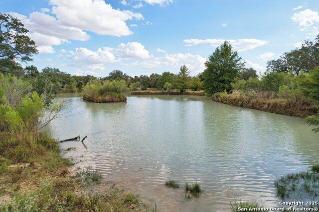 Listing photo id 48 for 3001 Curry  