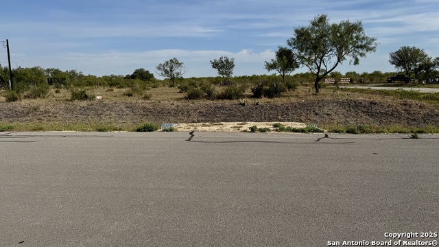 Details for 295 Lobo , Hondo, TX 78861