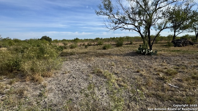 Image 10 of 15 For 295 Lobo