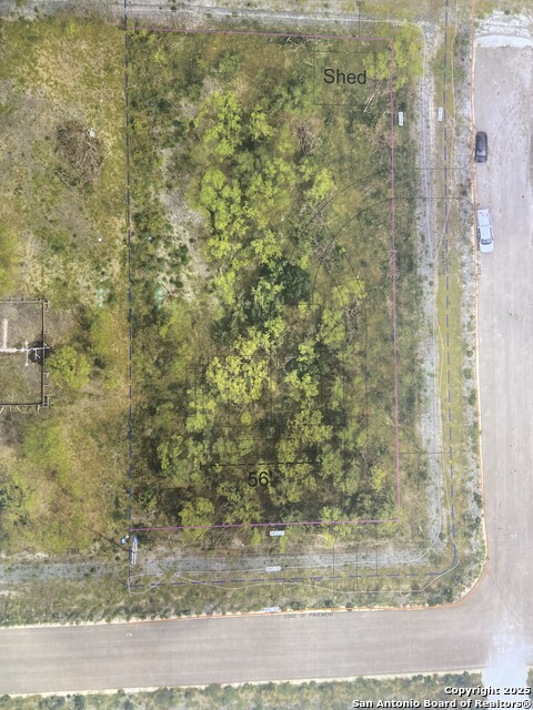 Image 15 of 15 For 295 Lobo