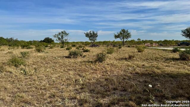 Image 2 of 15 For 295 Lobo