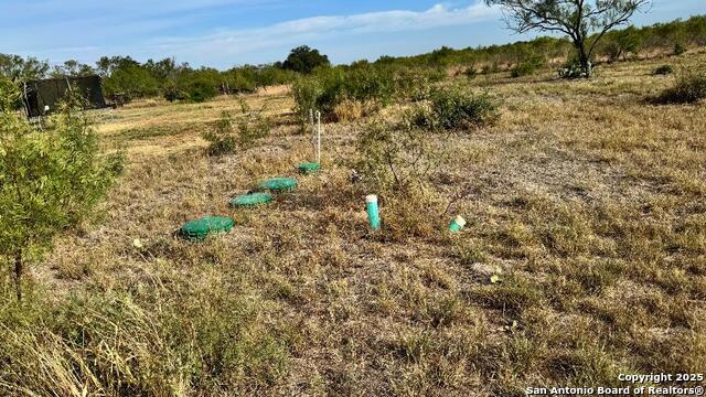 Image 3 of 15 For 295 Lobo