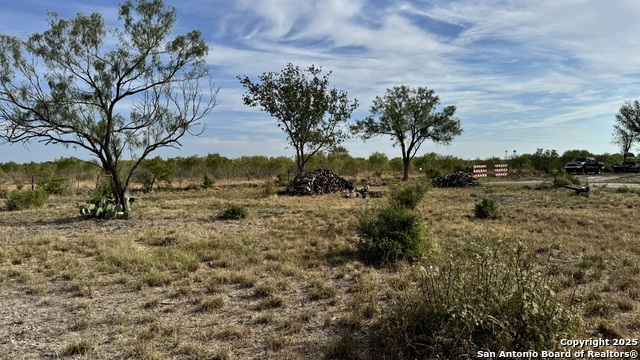 Image 8 of 15 For 295 Lobo