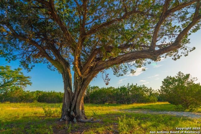 Image 10 of 18 For Tbd 120 Majestic Oaks Drive