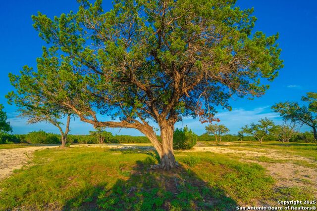 Image 6 of 18 For Tbd 120 Majestic Oaks Drive