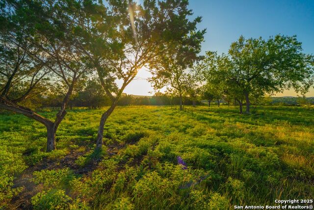 Image 7 of 18 For Tbd 120 Majestic Oaks Drive