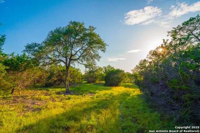 Image 9 of 18 For Tbd 120 Majestic Oaks Drive