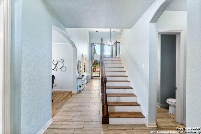 Image 9 of 37 For 11407 Massive Mt