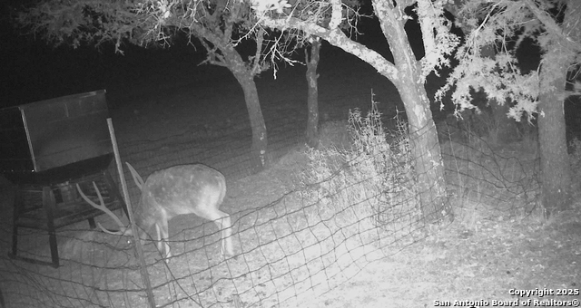 Listing photo id 9 for 0 Cr 121  