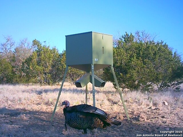 Listing photo id 10 for 0 Cr 121  