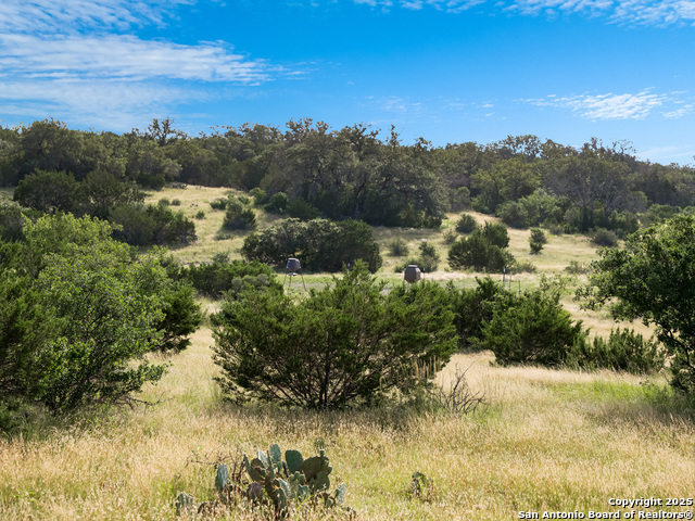 Listing photo id 12 for 0 Cr 121  