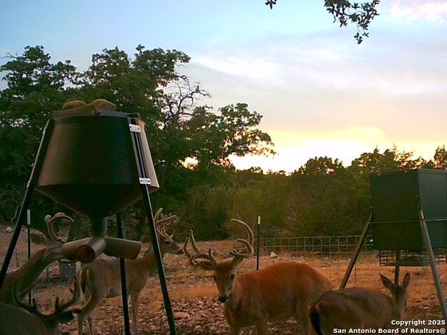 Listing photo id 15 for 0 Cr 121  