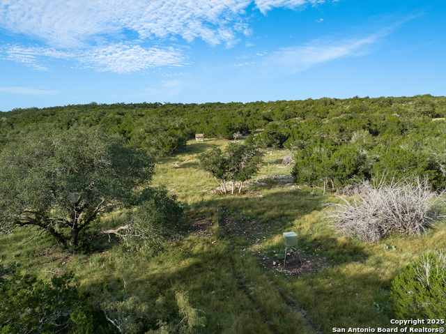 Listing photo id 16 for 0 Cr 121  