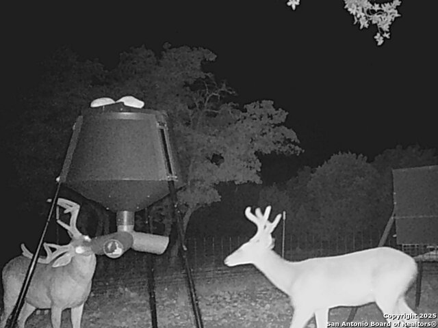 Listing photo id 0 for 0 Cr 121  